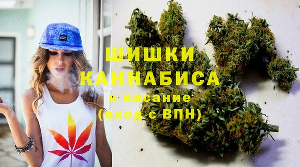 гашик Алексеевка