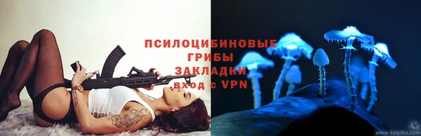 ПСИЛОЦИБИНОВЫЕ ГРИБЫ Надым