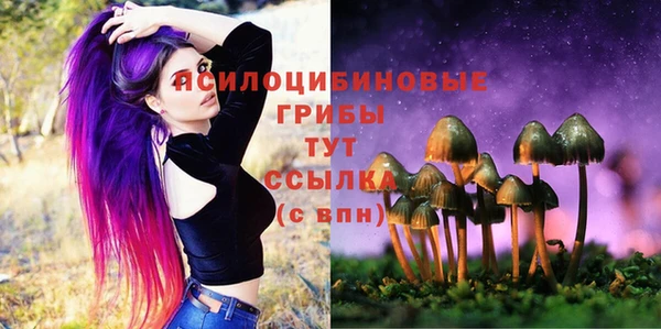 гашик Алексеевка