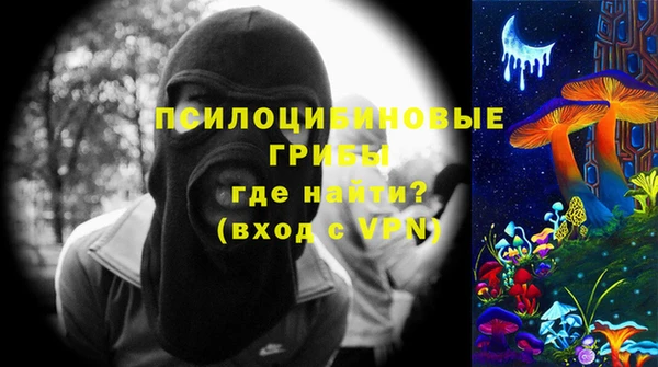 герыч Алексин