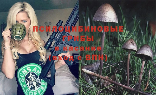 герыч Алексин