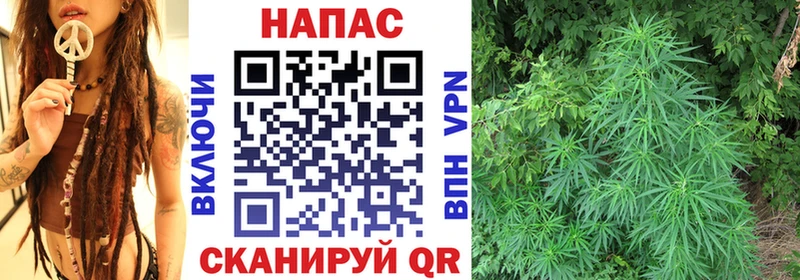 Шишки марихуана White Widow  Нытва 